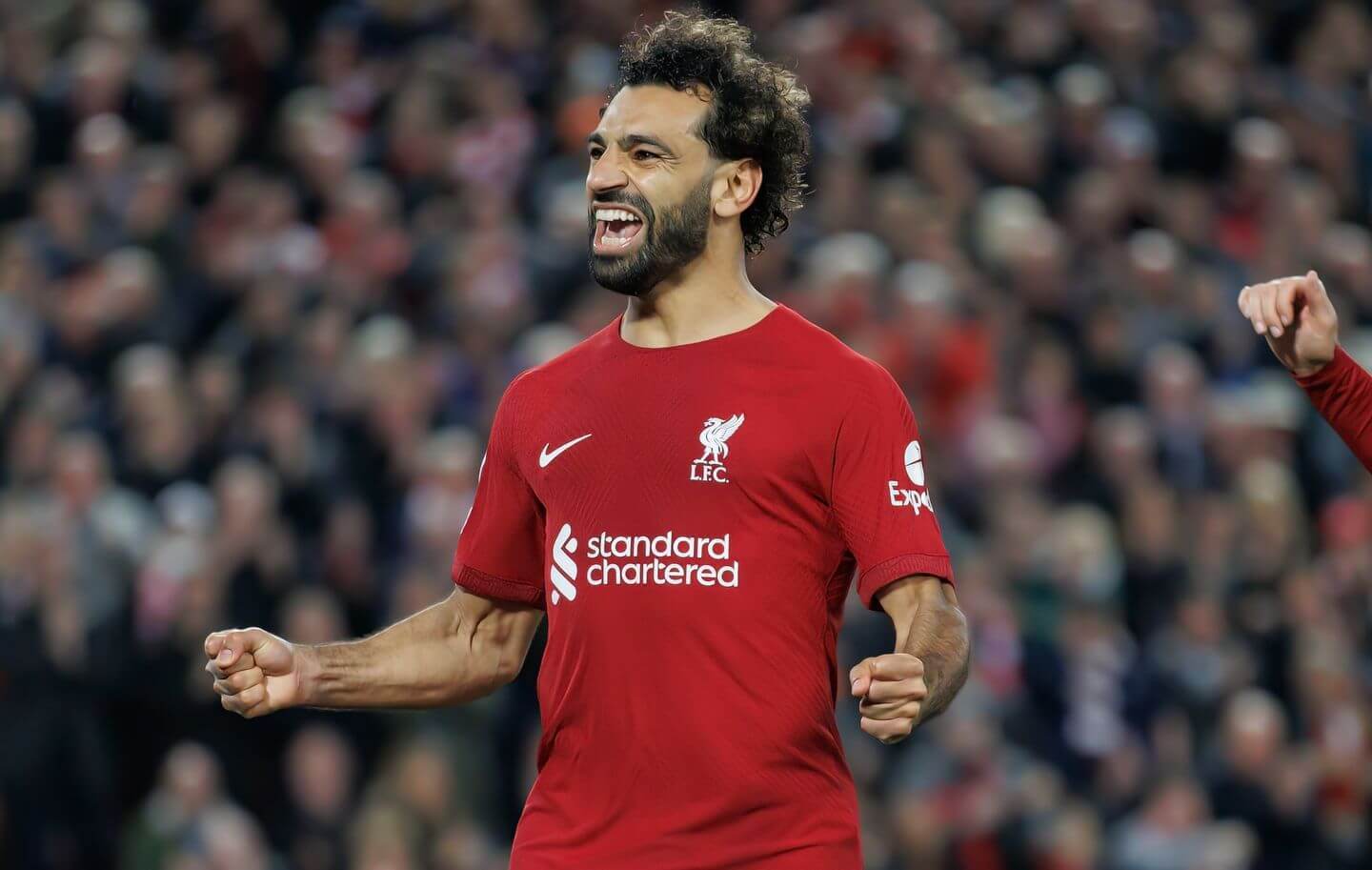 Kaiyun官网-包含里程碑夜阿贾克斯官宣签约利物浦迎足总杯关键赛,穆雷在MAD比赛中官方发布新规瞬间刷屏的词条-Kaiyun官网